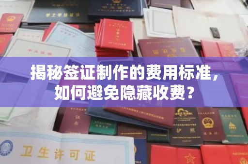 马村揭秘签证制作的费用标准，如何避免隐藏收费？