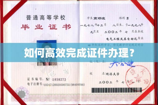 日照如何高效完成证件办理？