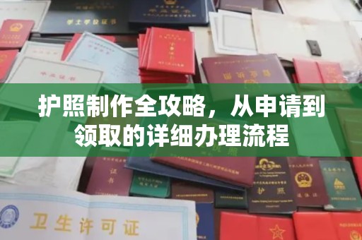 鹿野护照制作全攻略，从申请到领取的详细办理流程